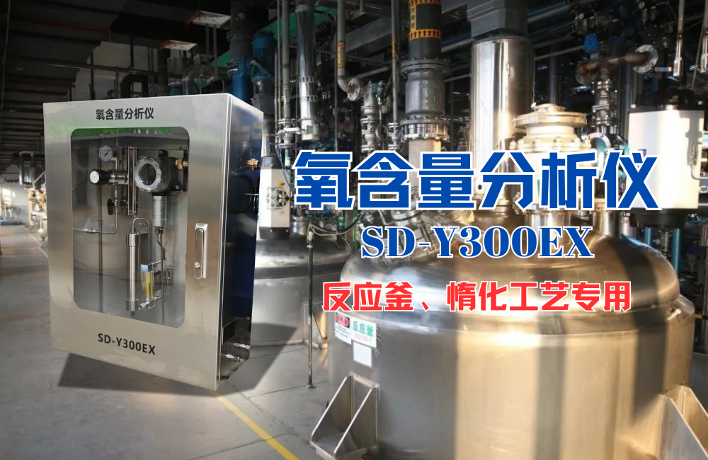氧含量分析儀精確監(jiān)測(cè):保障反應(yīng)釜安全與工藝穩(wěn)定的核心舉措.png